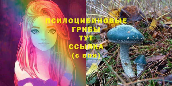 ГАЛЛЮЦИНОГЕННЫЕ ГРИБЫ Алзамай