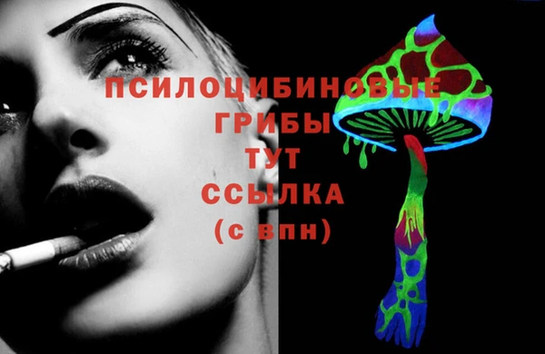 ГАЛЛЮЦИНОГЕННЫЕ ГРИБЫ Алзамай
