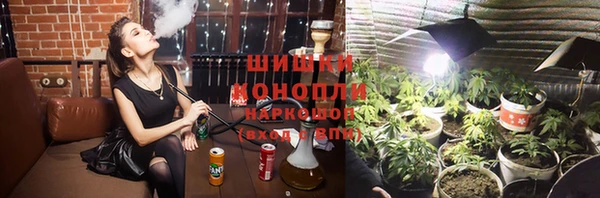 ГАЛЛЮЦИНОГЕННЫЕ ГРИБЫ Алзамай