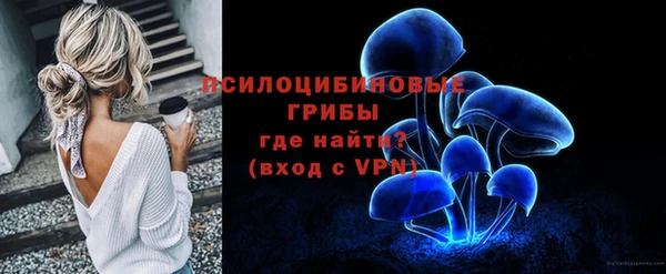 ГАЛЛЮЦИНОГЕННЫЕ ГРИБЫ Алзамай