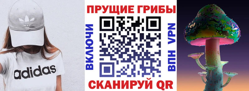Псилоцибиновые грибы Psilocybe  площадка наркотические препараты  Джанкой 